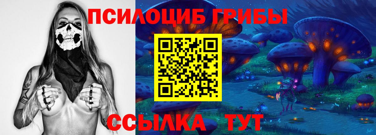 Галлюциногенные грибы прущие грибы  Псилоцибиновые грибы Psilocybe  Вход с VPN  Полысаево 