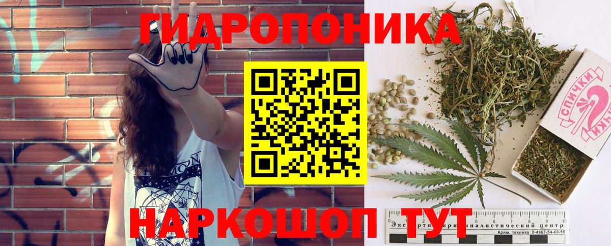 Каннабис гибрид Полысаево